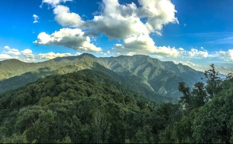 A file photo of a forest in Kiphire, one of the few districts in Nagaland sharing international border with Myanmar.    (Photo Courtesy: Kiphire Wildlife Division)